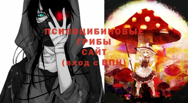 тгк Володарск
