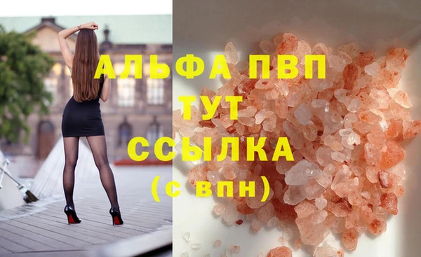 тгк Володарск