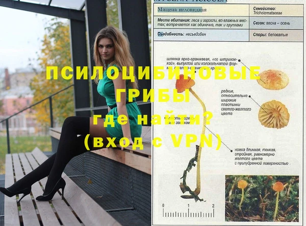 тгк Володарск