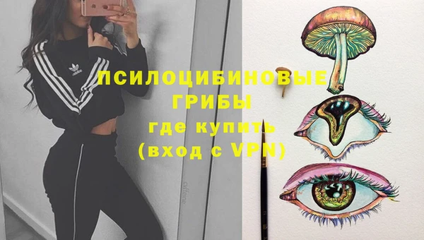 тгк Володарск